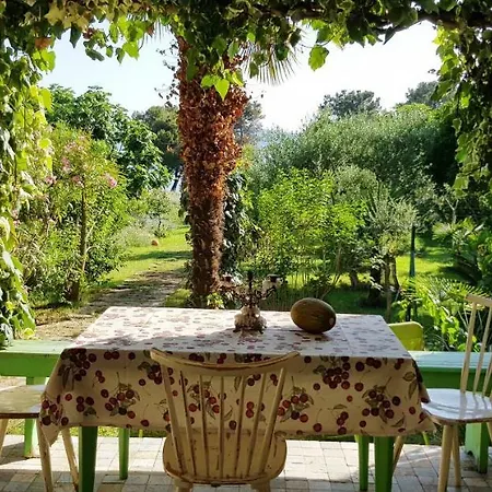 Appartement Majica *